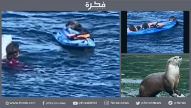 الامواج