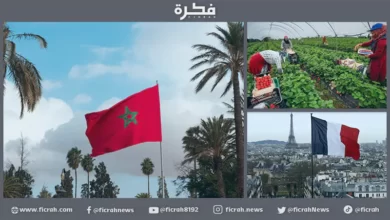 المغرب