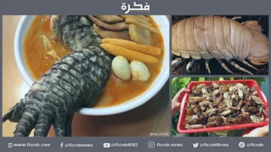 طبق رئيسي