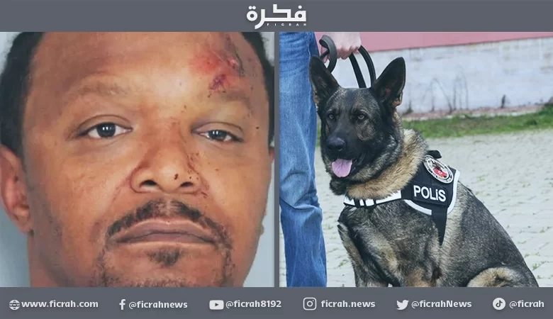 مخمور