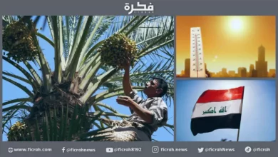 نخيل