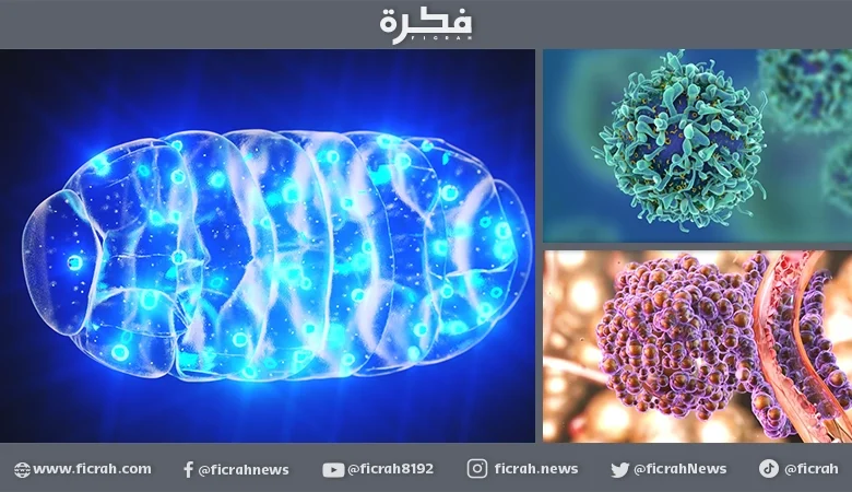 خلايا السرطان