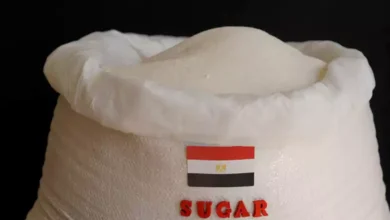 مصر